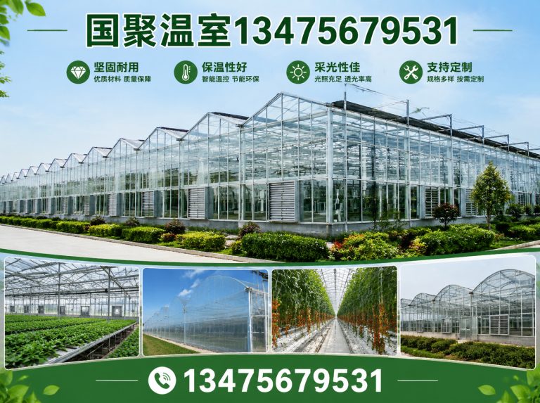 青州市农业温室工程展示图