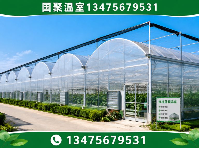 青州市国聚温室展示图