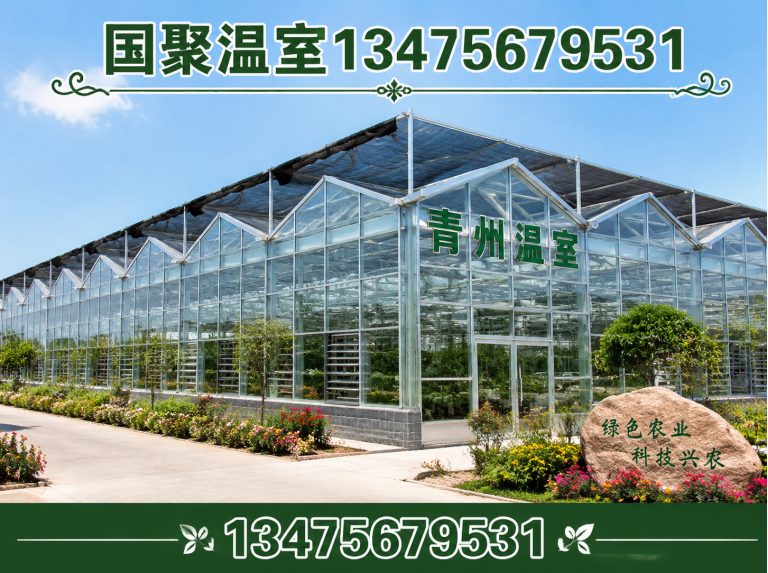 青州市温室设计施工展示图